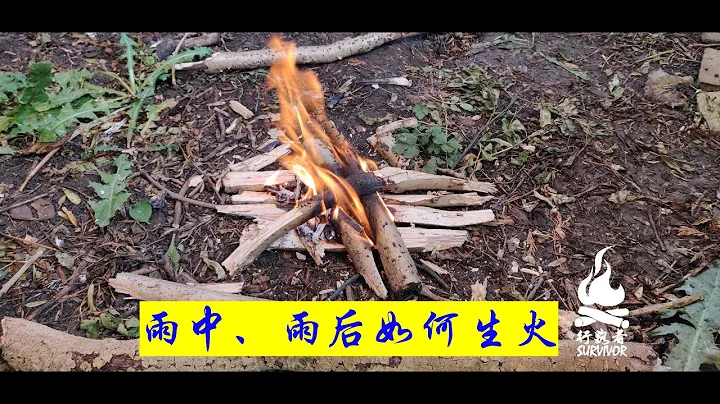 《How to Make Fire in or after Rain 如何在雨中，雨后生火》by 🔥Walker's Outdoor 行路者户外🔥 - 天天要闻