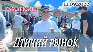 видео: Птичий рынок. Игровые голуби. Узбекские голуби. Узбекистан Самарканд. #Обзор рынка,базара 11.09.2022 картинка: Птичий рынок. Игровые голуби. Узбекские голуби. Узбекистан Самарканд. #Обзор рынка,базара 11.09.2022