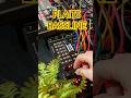JAM - Another Plaits Bassline  #modular #synthesizer #akemiestaiko