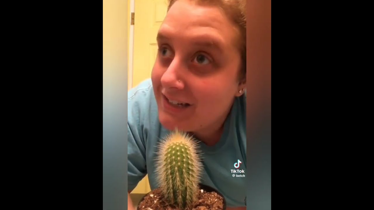 TikToks I Think About a Lot