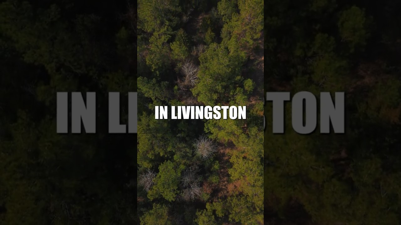 Texas Land For Sale -10.1 Acres, Livingston, TX-No Restrictions! 