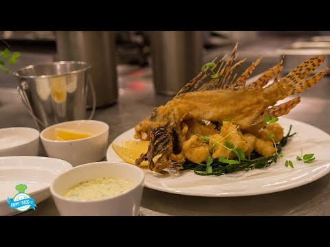 HAPPY FOODS 242 S12 E4 FISH by by José Andrés