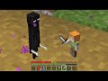 OMG this IS LITTLE ENDERMAN in MINECRAFT...