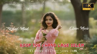 Tor Kesh Khula Nagpuri X Hip Hop Nagpuri Lofi Song Nagpuri Slow X Reverb