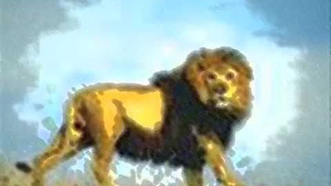 Singanebah montage