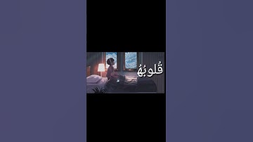 حالات واتس اب قرٱنية للقارئ سلمان لطف الله  quran whatsapp status by qari salman Lutfullah