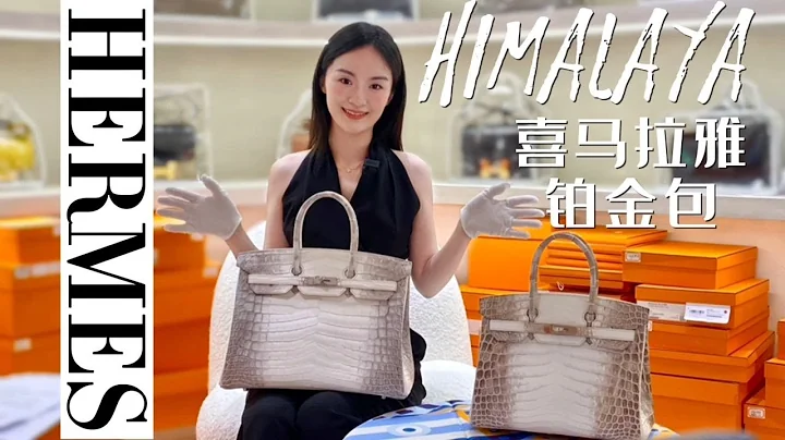 一只包包值一套房！价值250万的爱马仕喜马拉雅铂金包，刚拿到手都不敢摸它 - 天天要闻