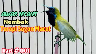 TERAPI SOGON MACET PALING AMPUH BUKTIKAN SAJA DIJAMIN LANGSUNG NYAUT Paling Jitu Sudah Terbukti 001.