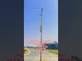 #SiddharthNagar में #Road के बीच #Pole! गलती किसकी—सरकार, ठेकेदार या गांव वाले?#villagelife