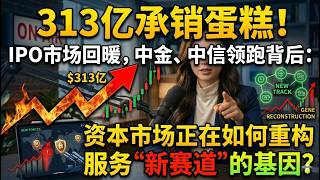 313亿承销蛋糕！IPO市场回暖，中金、中信领跑背后：资本市场正在如何重构服务“新赛道”的