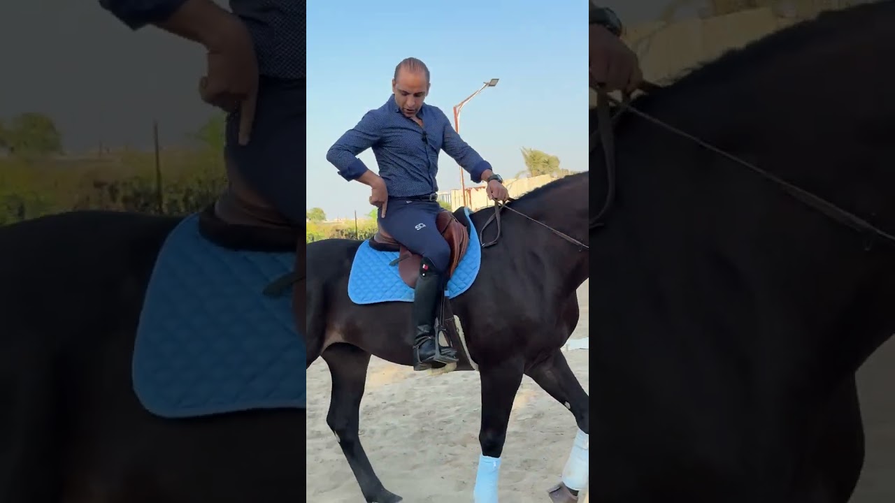 كيف تتعلم كنتر وكيف تجلس في الكنتر وطريقة الكنتر How to Canter