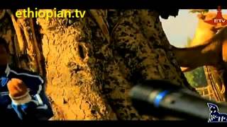 Birhanu Tezera Tebechisa