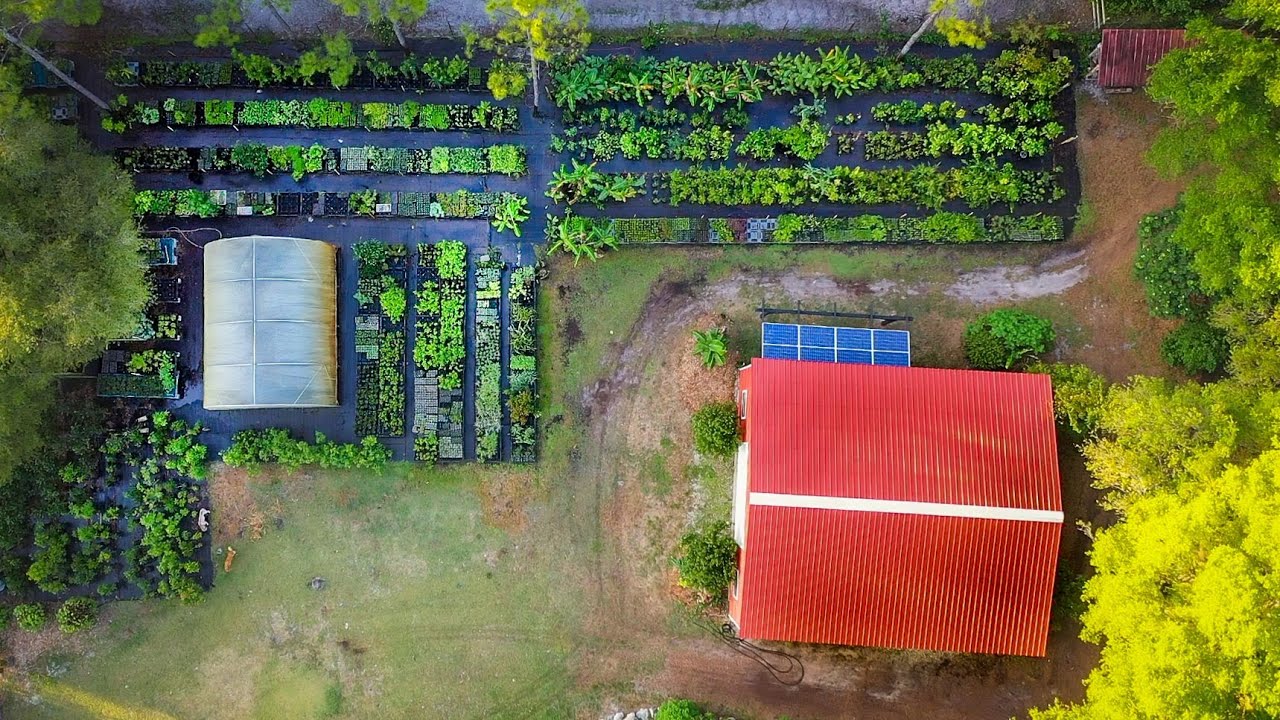 Nursery Upgrades & Expansions + GREAT NEWS!!