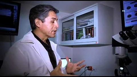 Quanto prende di stipendio una criminologa?