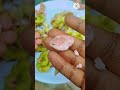 ఎంతమందికి ఇవి తినడం అంటే ఇష్టం??😋😋🥳🥳#seemachintakaya#Gubbalu#junglejilebi#food#trending#viral#shorts