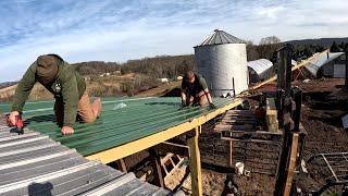 HUGE CONSTRUCTION PROJECT FOR THE VEGGIE BOYS