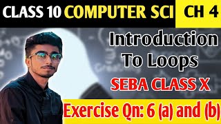 Introduction To Loops Exercise Question No 6 (a) and (b) Class X  | Solved Answer With Explanation Net Worth