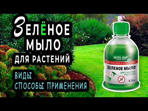 Зелёное мыло для растений: виды, свойства, и правила применения.