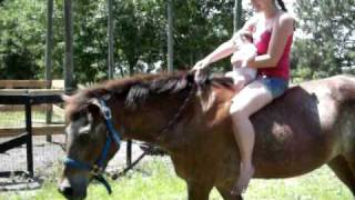 Ruby's First Horseback Ride (2 months old)