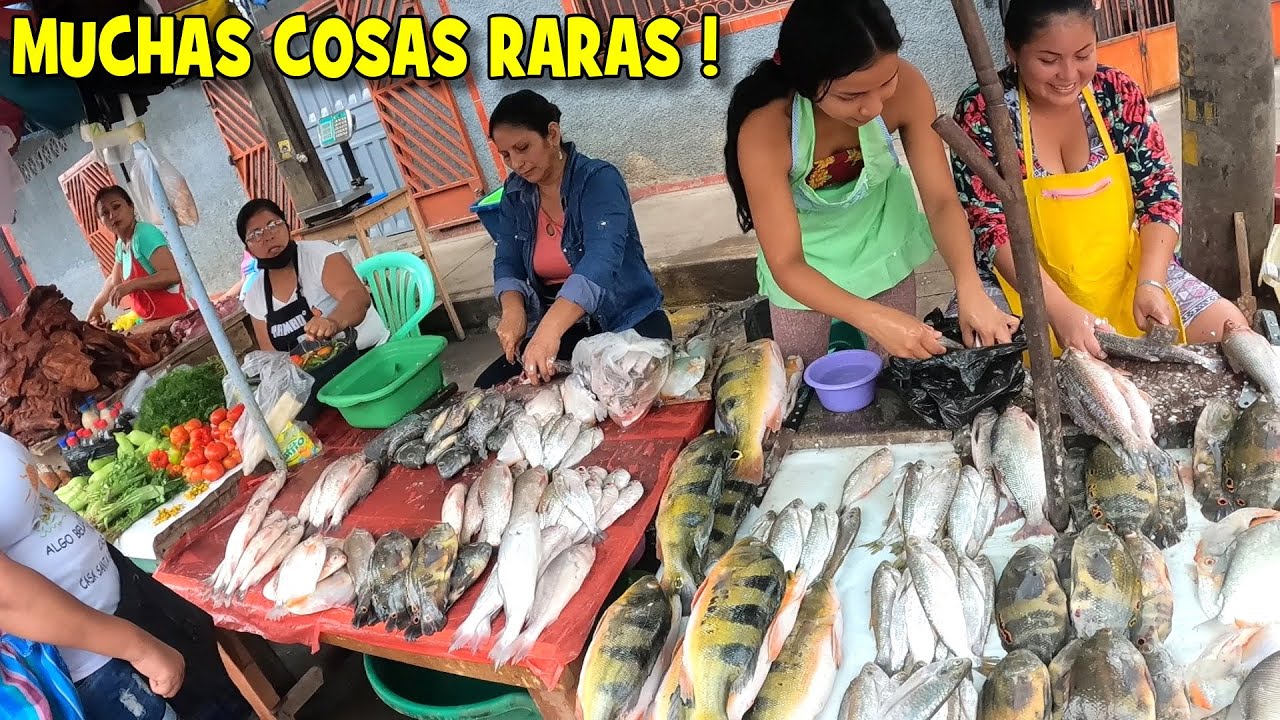 HACIENDO COMPRAS en MERCADO 