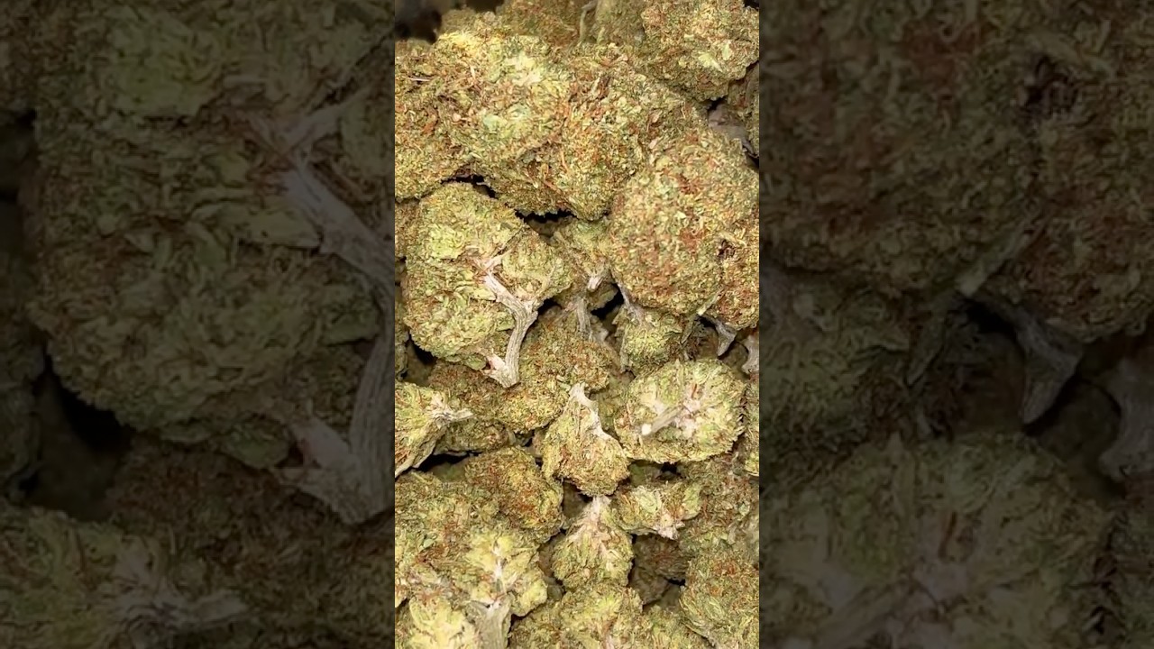 🥶 🍋 THCA Small Buds Frozen Lemons 