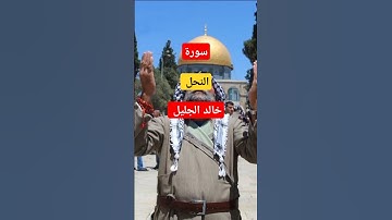 سورة النحل: الآيات (125 - 128) الشيخ خالد الجليل #اكتب_شئ_تؤجر_عليه #اكسبلور #يارب #لايك #تيك_توك