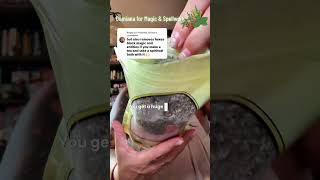 damiana leaf turnera diffusa 4oz herbal tea pure aromatic
