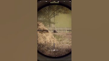 eomm or sbmm or both