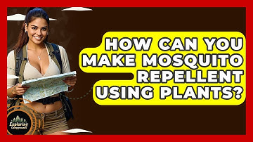 How Can You Make Mosquito Repellent Using Plants? - Exploring Campgrounds
