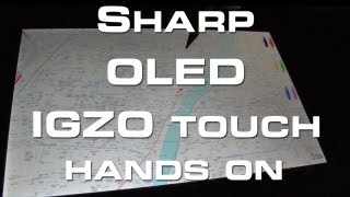 Celebrity Sharp OLED IGZO Touch Display Hands On - CES 2013 Net Worth