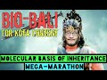 Molecular Basis of Inheritance Mega-Marathon | BioBali Series for NEET ft. Vipin Sharma