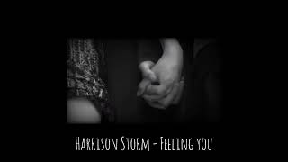 Download Lagu Harrison Storm - Feeling you (𝑆𝑙𝑜𝑤𝑒𝑑 + 𝑅𝑒𝑣𝑒𝑟𝑏) MP3