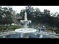 Savannah in the snow (Jan. 4, 2018)