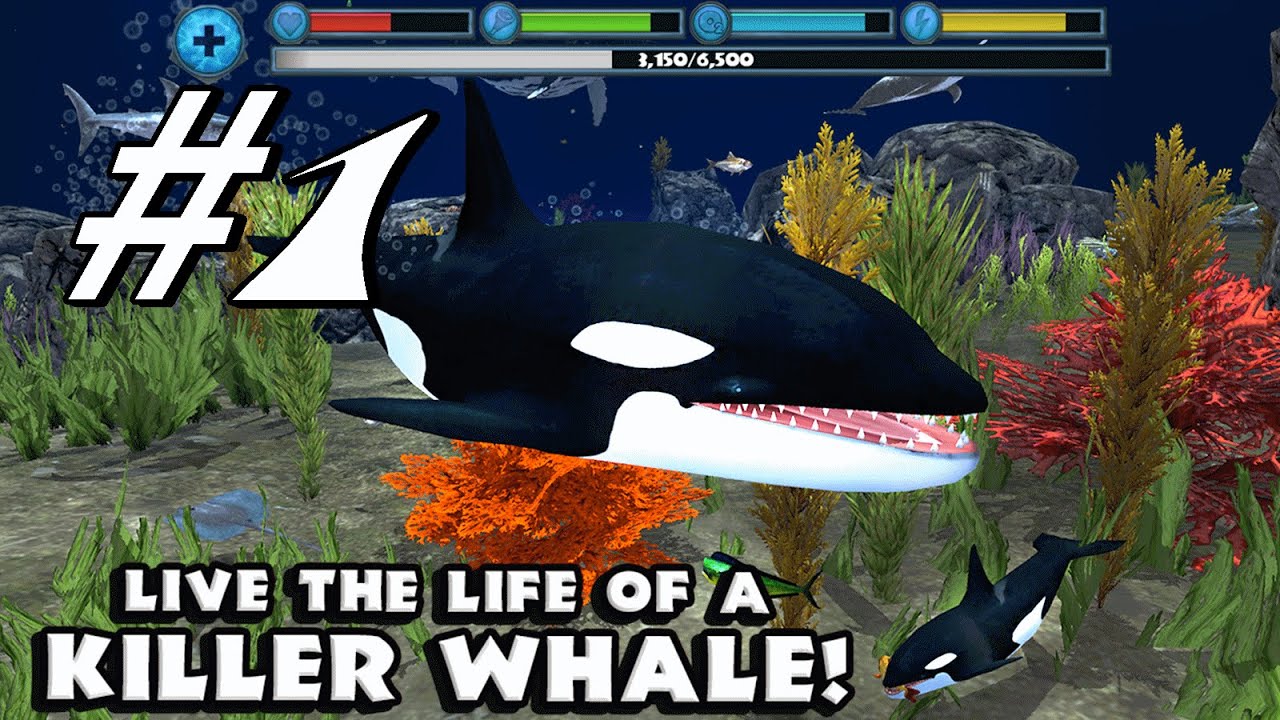 Hungry Orca with effects #roblox #primegaming #codes