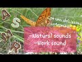Asmr Ita/ Natural sounds/ Work sound/ Sounds for sleep 🎧😴