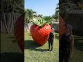 I Turned a Giant Strawberry Into a Luxury Bedroom! 🍓✨