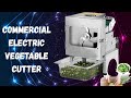Best Commercial Onion & Vegetable Slicer Dual Motor Review | Generic