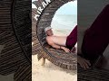 Barrigudo mais João passeio e show papai na praia de icaraizinho de amontada