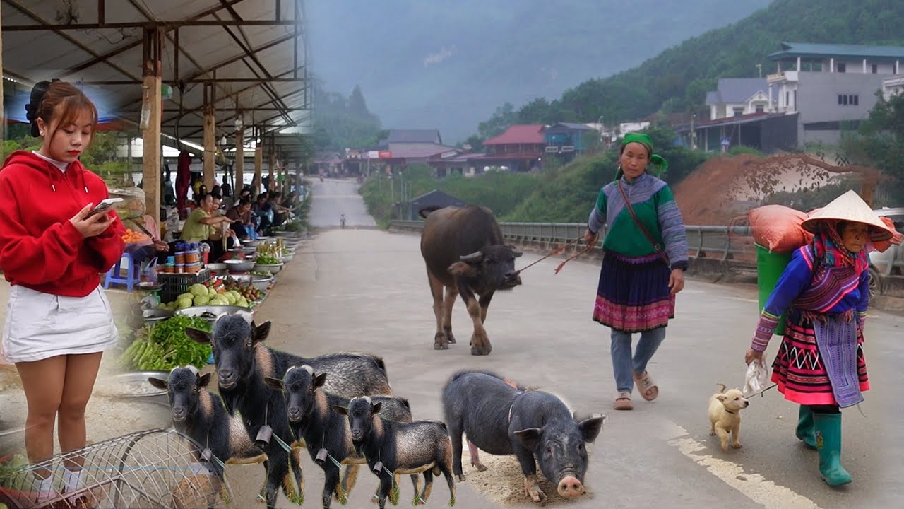 BÍ ẨN! CHỢ BIÊN GIỚI CỐC LY | Trâu Đồi, Dê Núi, Lợn  Đen Và Văn Hóa Ẩm Thực Dân Tộc Độc Đáo 