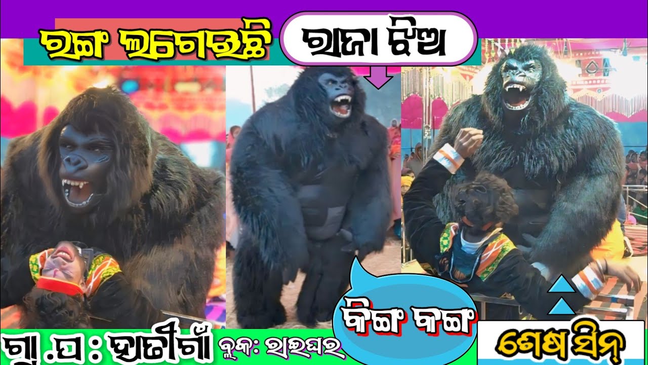 (ରଙ୍ଗ ଲଗେଇଛି ରାଜା ଝିଅ)👉 ପଞ୍ଚାତ: ହାତିଗା ବ୍ଲକ: ରାଇଘର୍ ନୁଆଁପାରା ଜିଲ୍ଲା - ନବରଙ୍ଗପୁର 