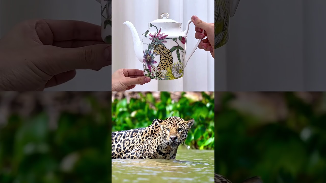 A tableware collection inspired by wild beauty 🌿🦜