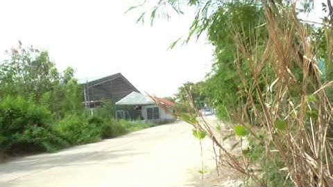 ี์ืnissan cube tune by Phon Unichip