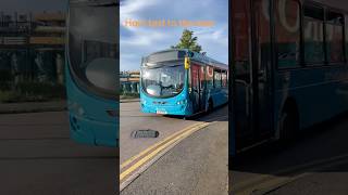 Horn tested to the max on 3765 #subscribe #foryou #busdriver @TheAutisticBuslover