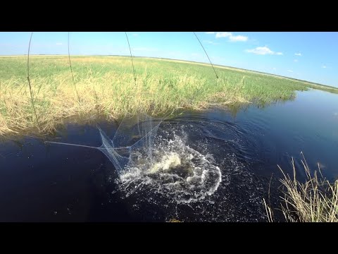 Голубая мечта лопнула по швам от этих дураков.