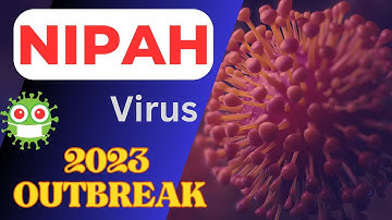 Nipah Virus | Prevention and Awareness | Indian outbreak 2023