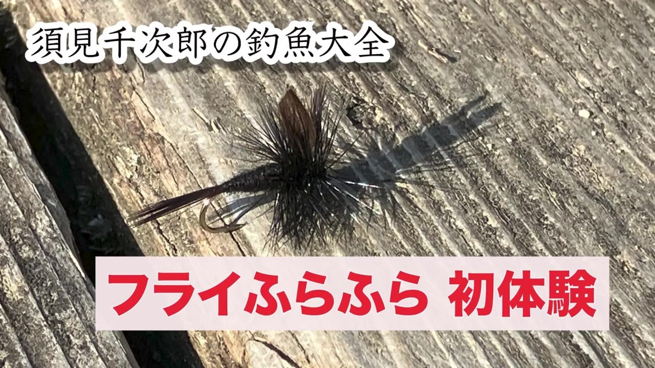 管理釣り場でフライフィッシング 初体験 大阪・千早川マス釣り場で