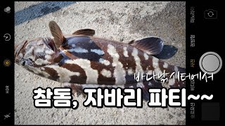 [WebFIGHTER TV] 바다낚시터 자바리/다금바리  (선재바다낚시공원)