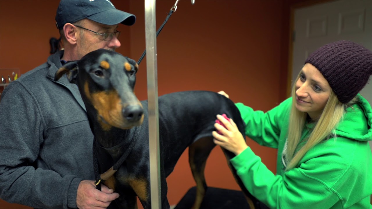 Grooming at Sam & Danni's YouTube