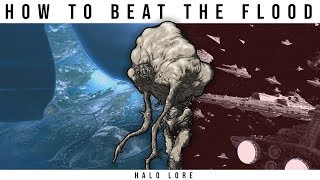 How to BEAT THE FLOOD & Survive a FLOOD INFECTION  |  Halo Lore