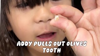 Addy Pulls Out Olive’s Tooth 🦷